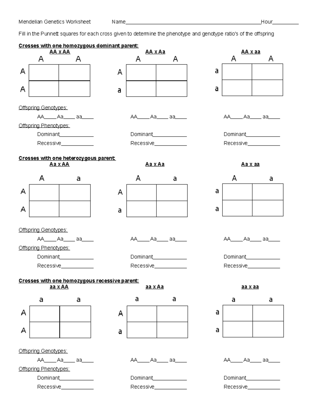 Punnett Square Worksheet For Grade 12 Biology Mendelian Genetics Worksheet Name Hour Fill In 