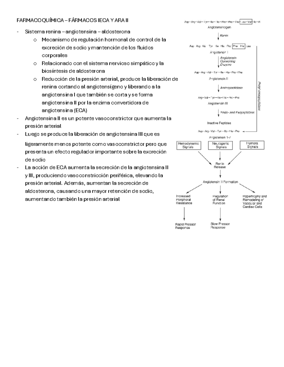 Farmacoquímica i ECA y ARAii - FARMACOQUÍMICA – FÁRMACOS IECA Y ARA II ...