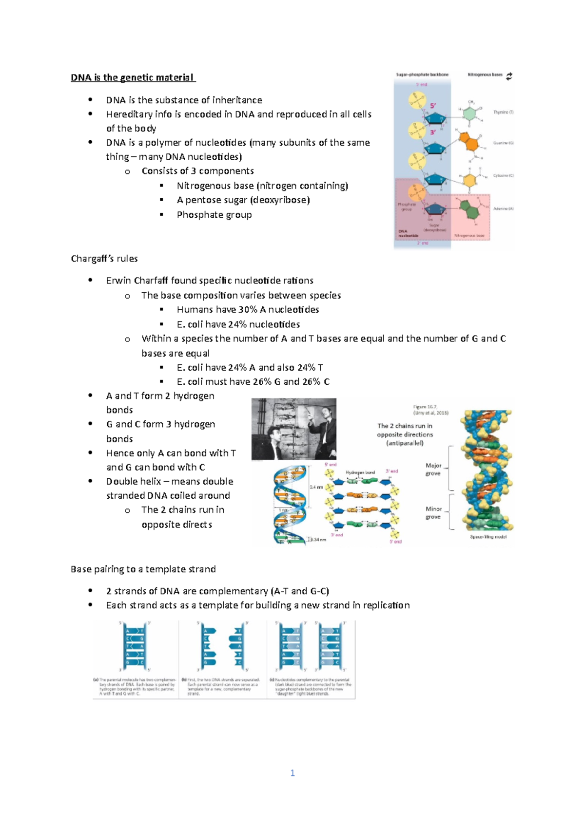 Wk 11 - Lecture notes week 11 - DNA is the geneic material DNA is the ...