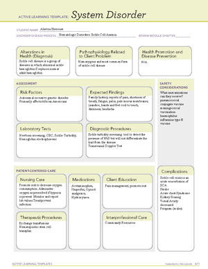 Active Learning Template Diagnostic Procedure form - ACTIVE LEARNING ...