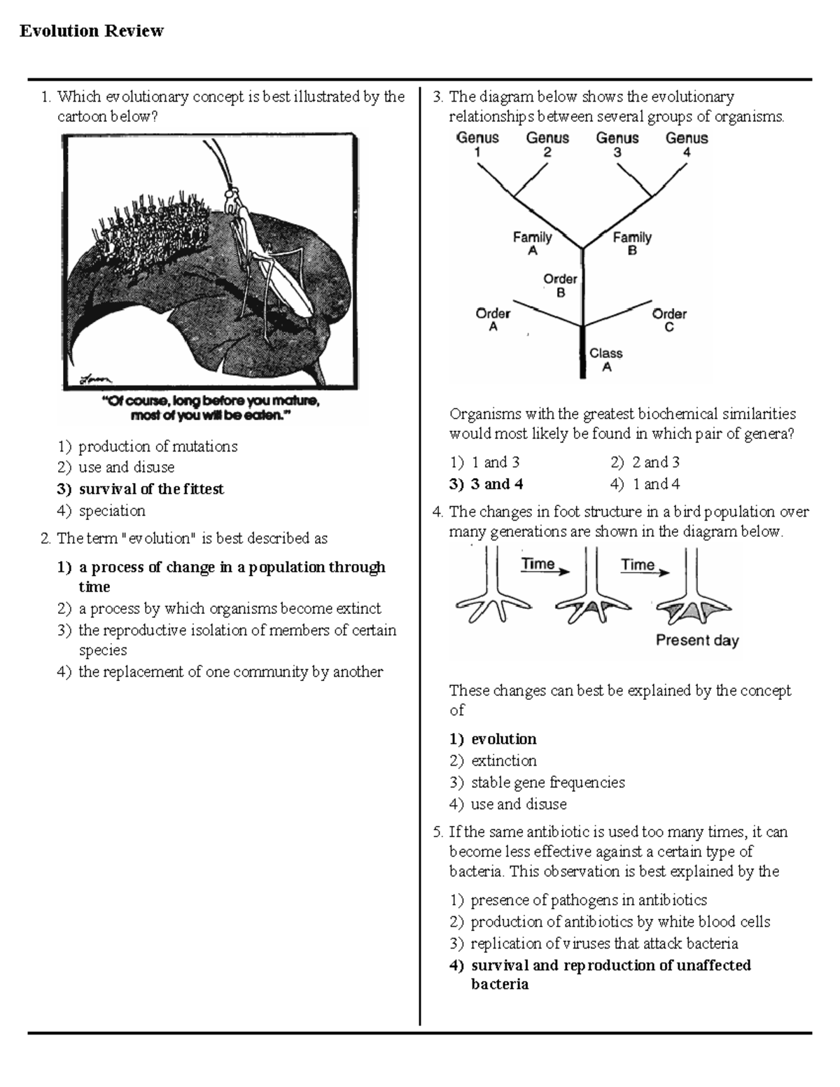 Evolution review 1 ans - Evolution Review production of mutations use ...
