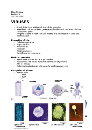 Microbiology Lecture 2 - Viruses - Microbiology Lecture 2 - Viruses ...