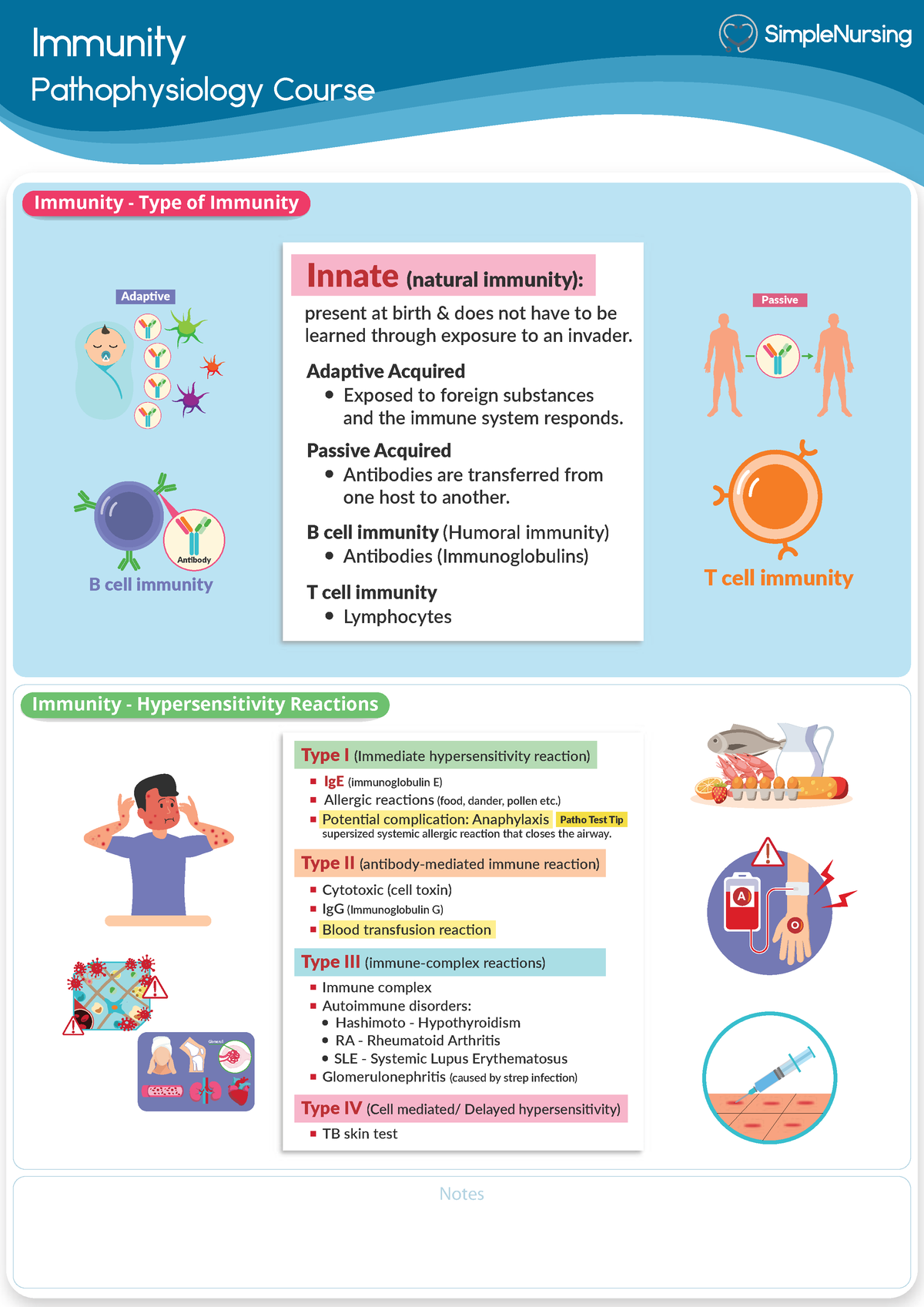 1. Immunity Types (I, II, III, IV) - Immunity Pathophysiology Course ...