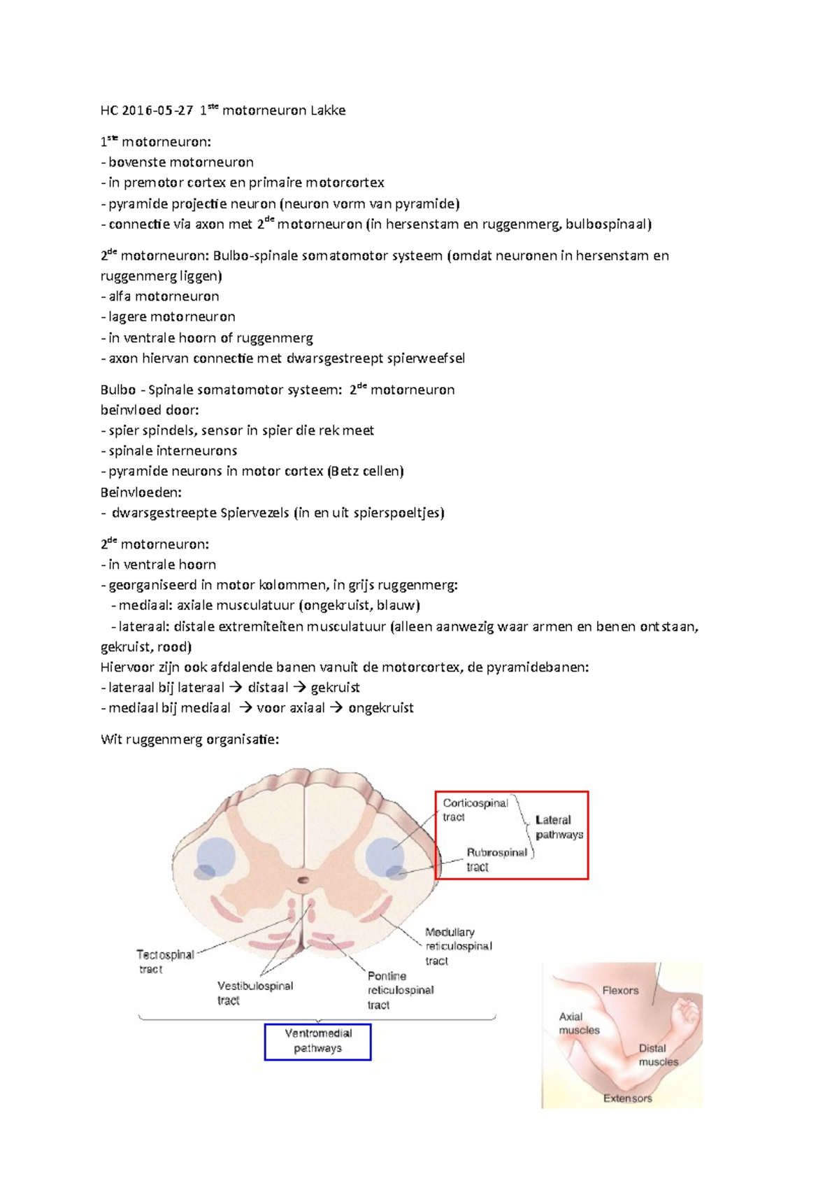 Hc 1ste Motorneuron Dokter Lakke Hc 2016 05 27 1ste Motorneuron Lakke