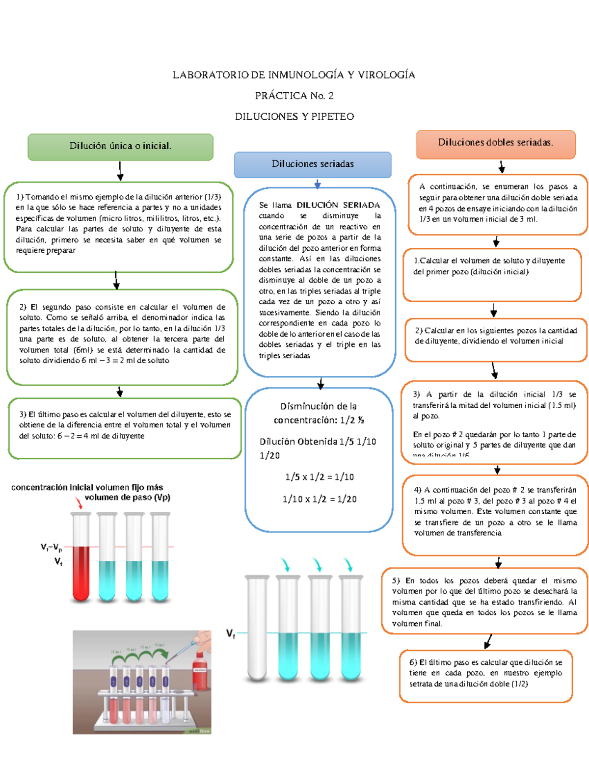 Diagrama 2 Viro - LABORATORIO DE INMUNOLOGÍA Y VIROLOGÍA PRÁCTICA No. 2 ...