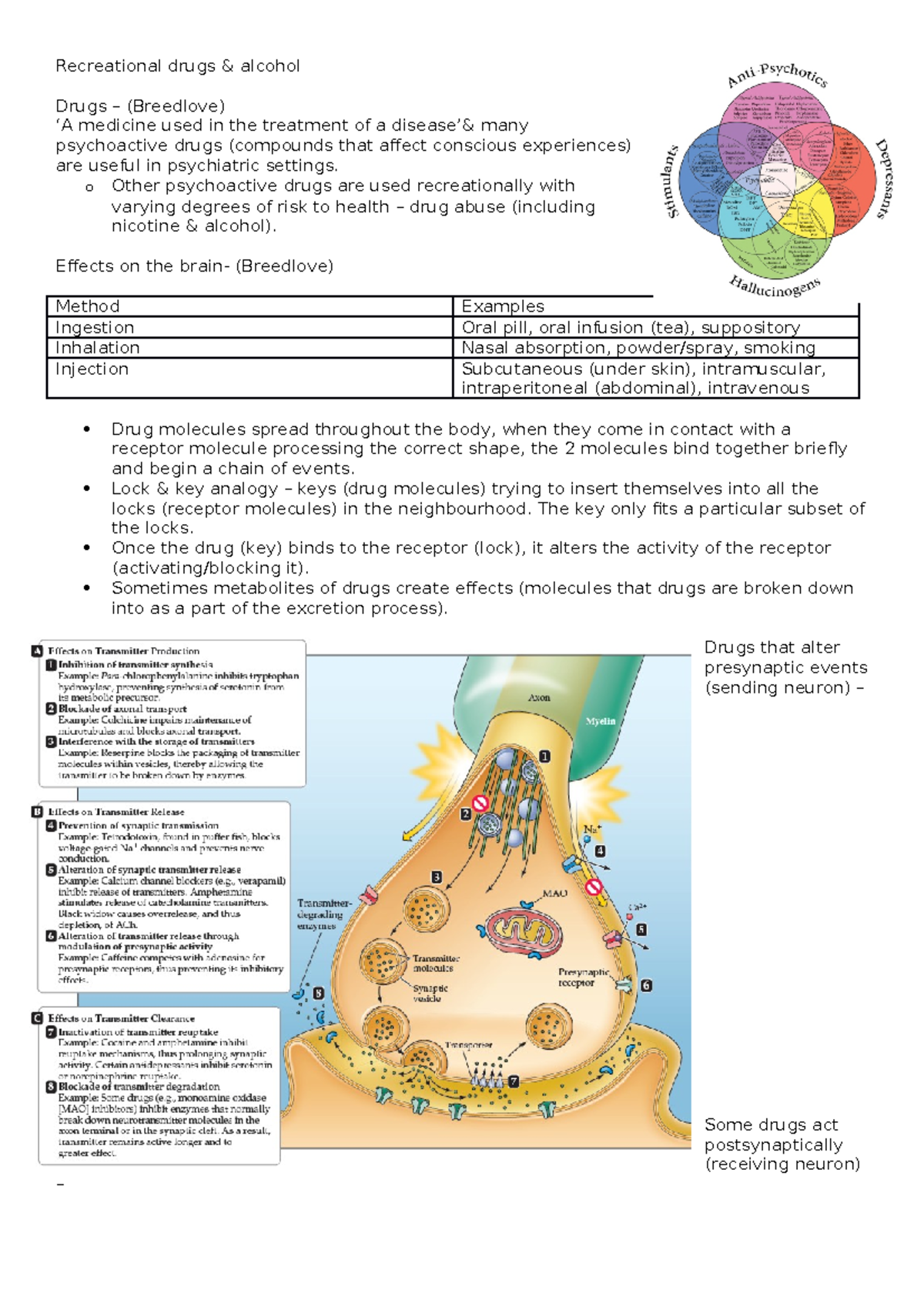 yin and yang theory sociology drugs