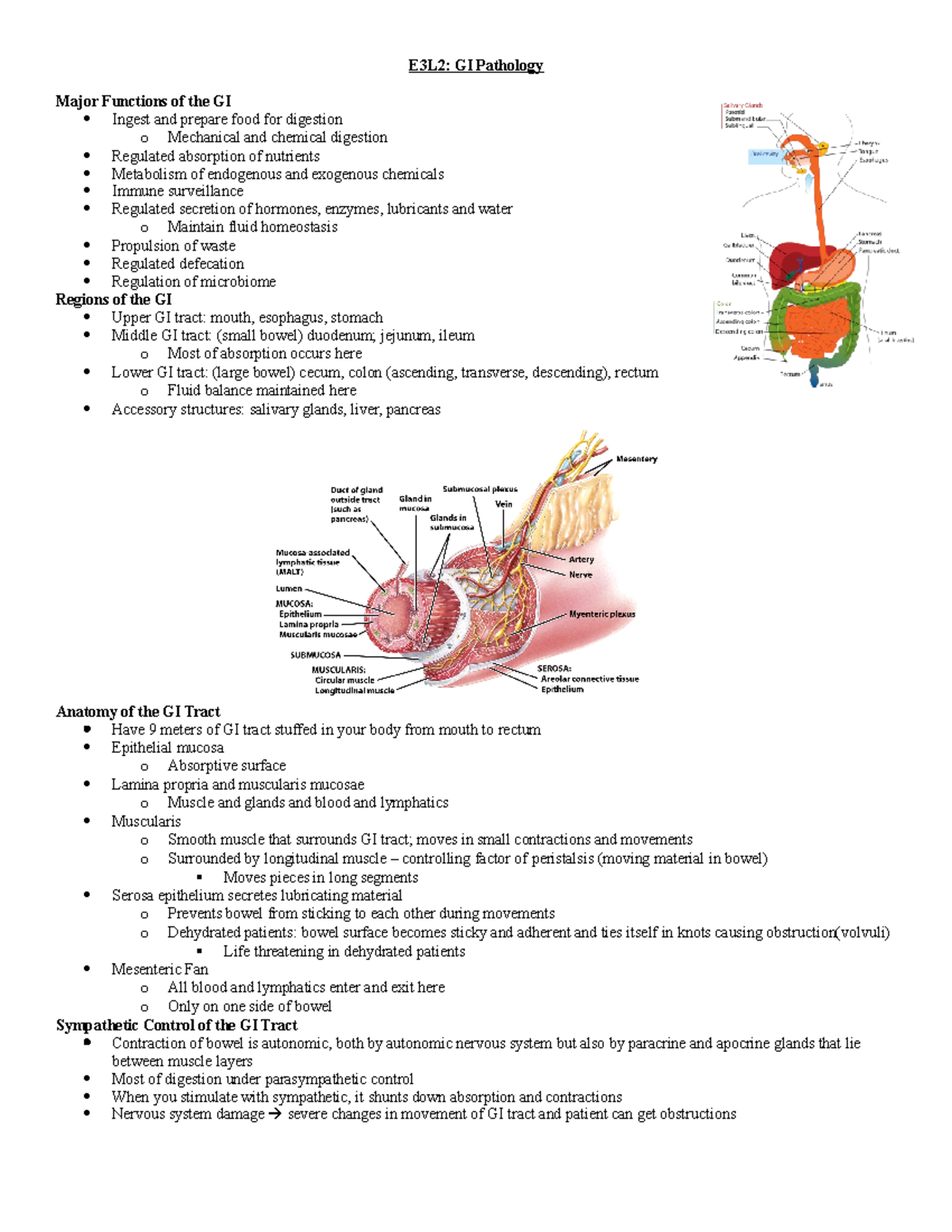 E3L2 Notes - GI Pathology - E3L2: GI Pathology Major Functions of the ...