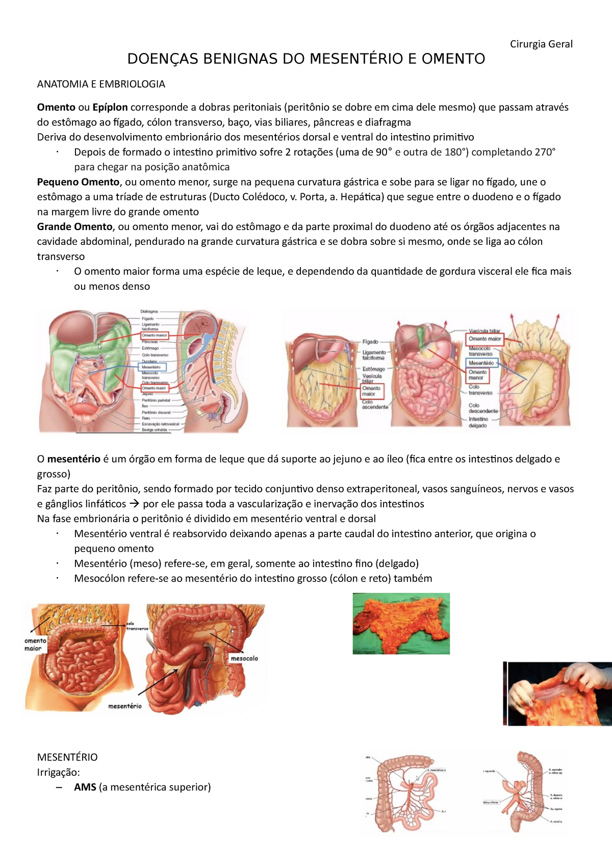 PDF) ABORDAGEM MINIMAMENTE INVASIVA COMBINADA: RESSECÇÃO DE CISTO  MESENTÉRICO GIGANTE E CISTO OVARIANO E OOFOROPLASTIA À ESQUERDA COM  RESSECÇÃO DE TUMOR DE OVÁRIO À DIREITA POR MINILAPAROSCOPIA: 2 RELATOS DE  CASO