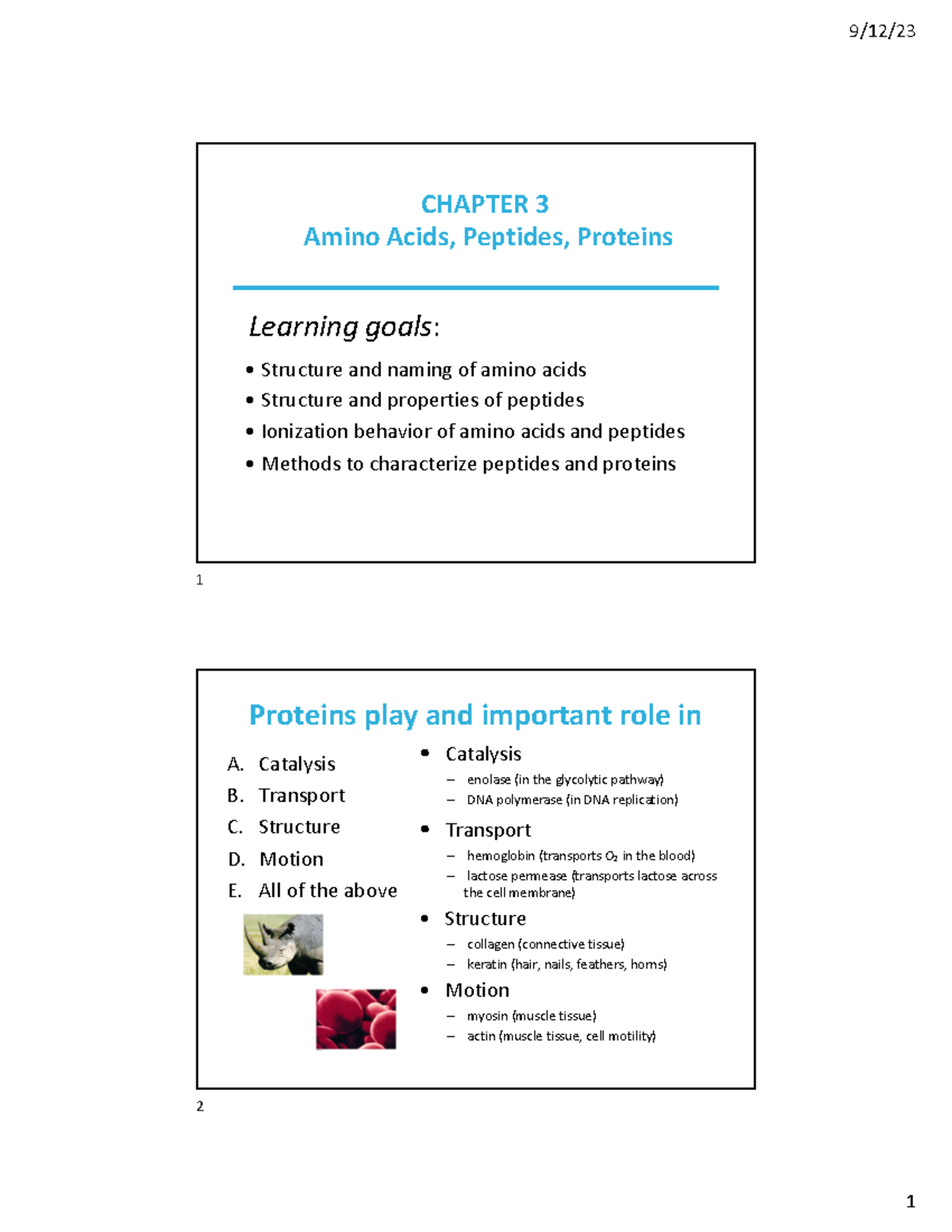 Chapter 3 Lec 1 - CHAPTER 3 Amino Acids, Peptides, Proteins • Structure ...