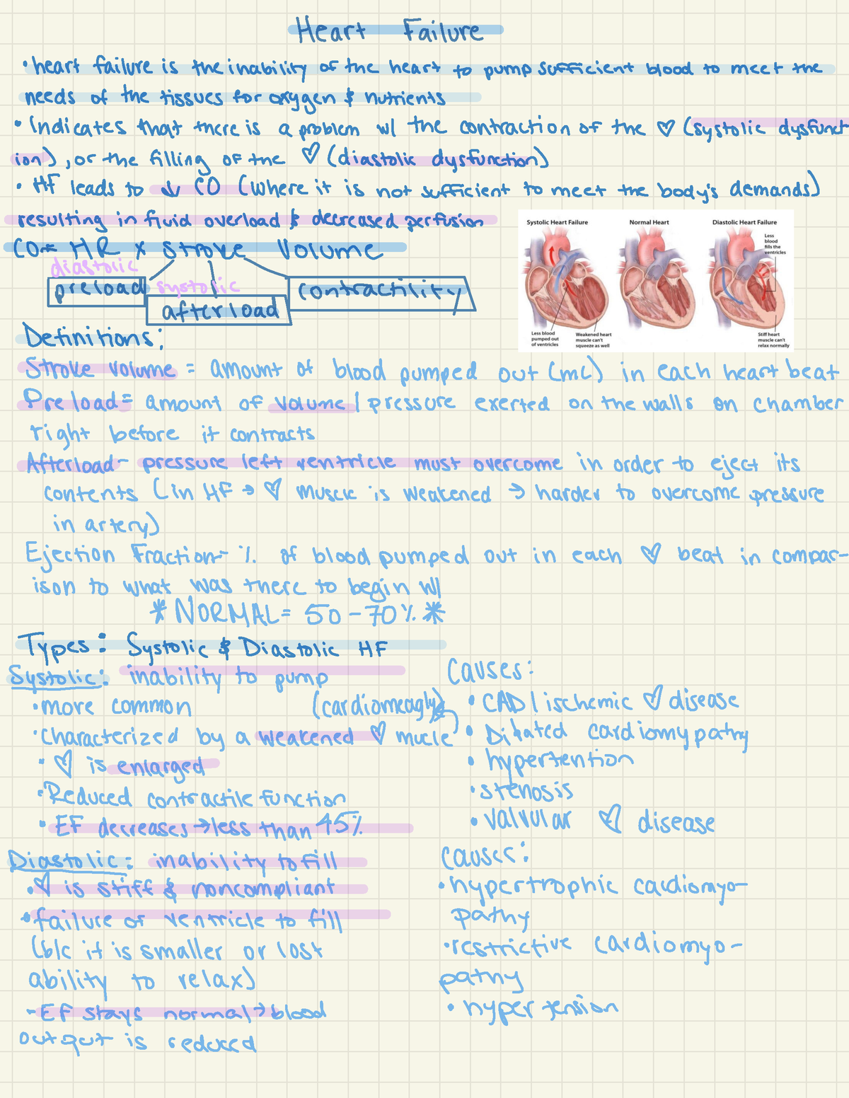 Heart Failure - Anatomy - BIO 222 - Studocu