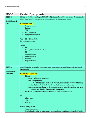 NSG223 HESI Final Blueprint - Node Number/ Description Display Name ...