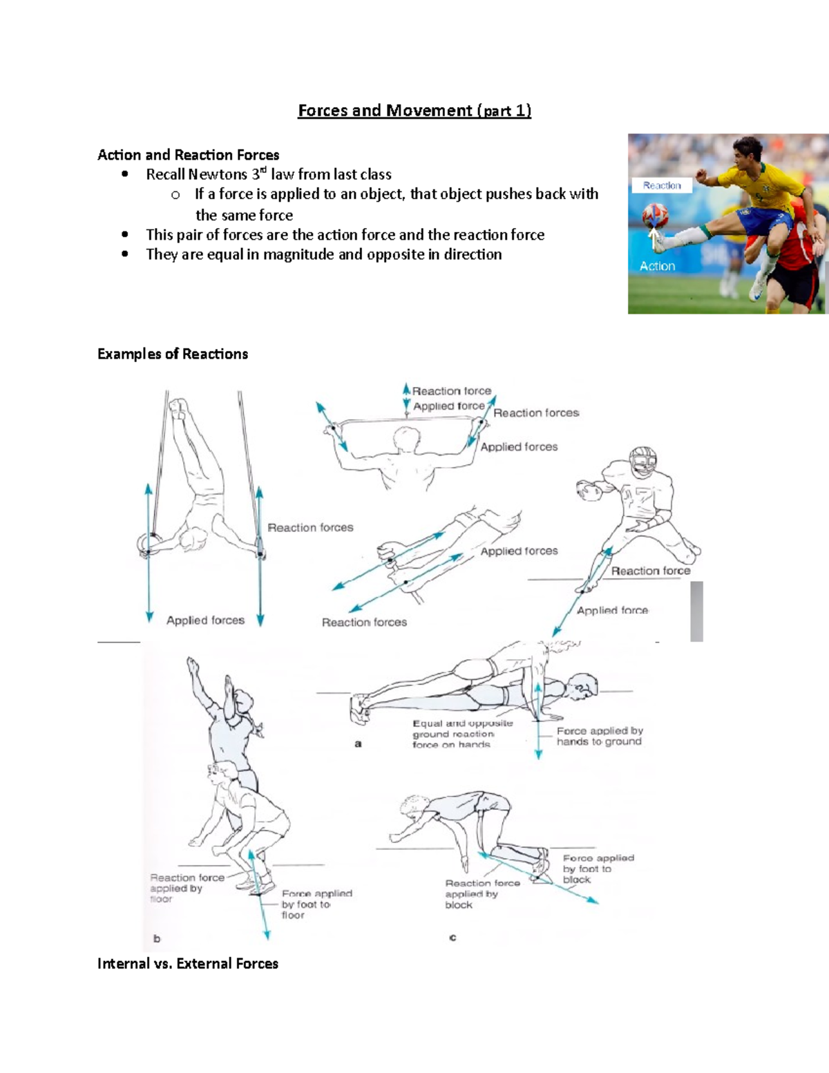 Forces and Movement - Lecture 1 - Forces and Movement ( part 1) Action ...