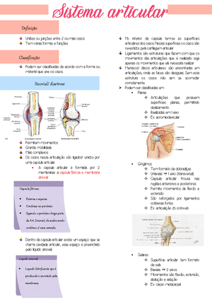 Relatóriopráticasead Anatomia Humana Aula 01 - RELATÓRIO DE AULAS ...