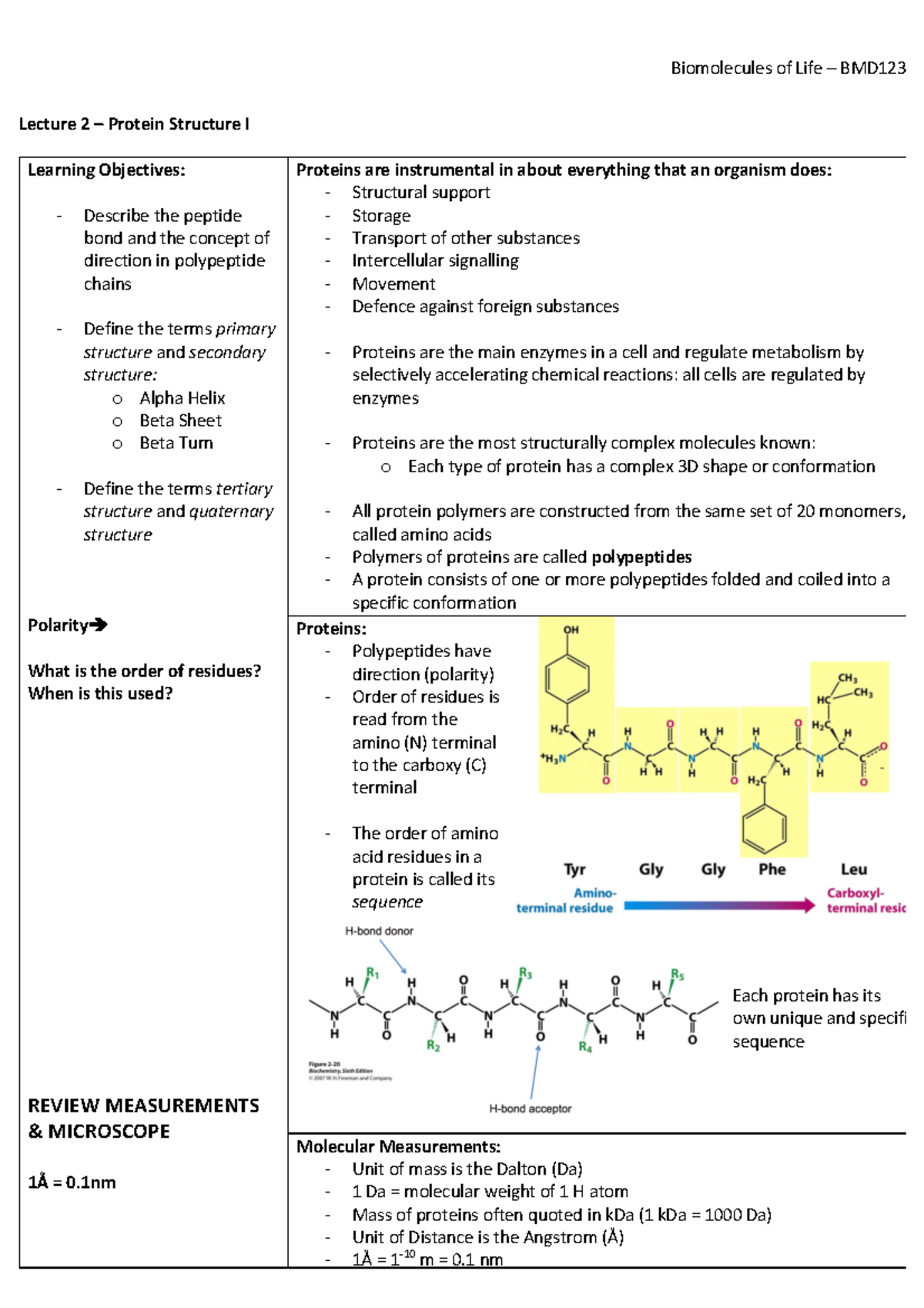 Lecture 2 - Proteins - Biomolecules of Life - Lecture 2 – Protein ...