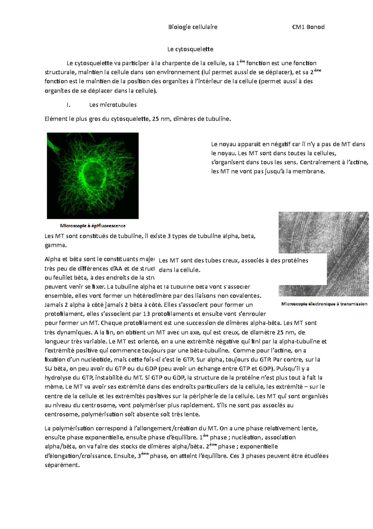 Fiche Technique Cytosquelette , Fiche : Cytosquelette – NFSG