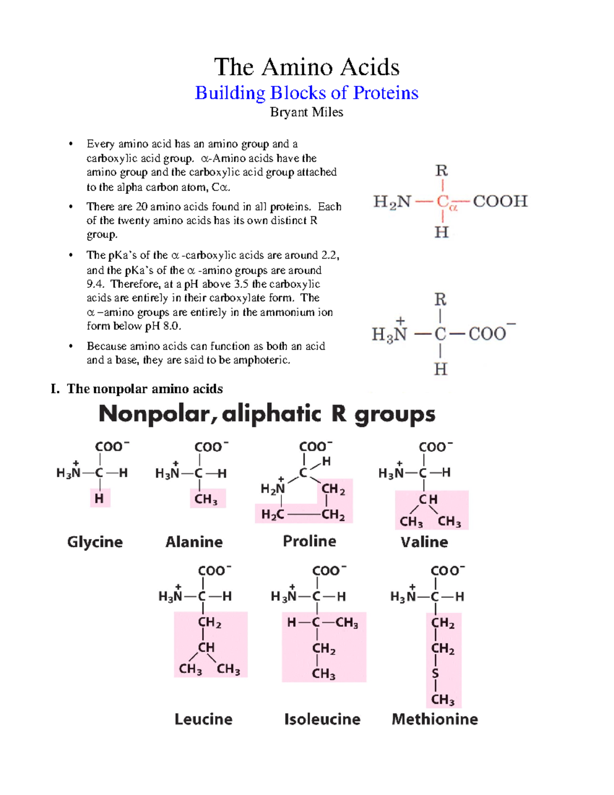 Amino Acids DR. MILES The Amino Acids Building Blocks of Proteins