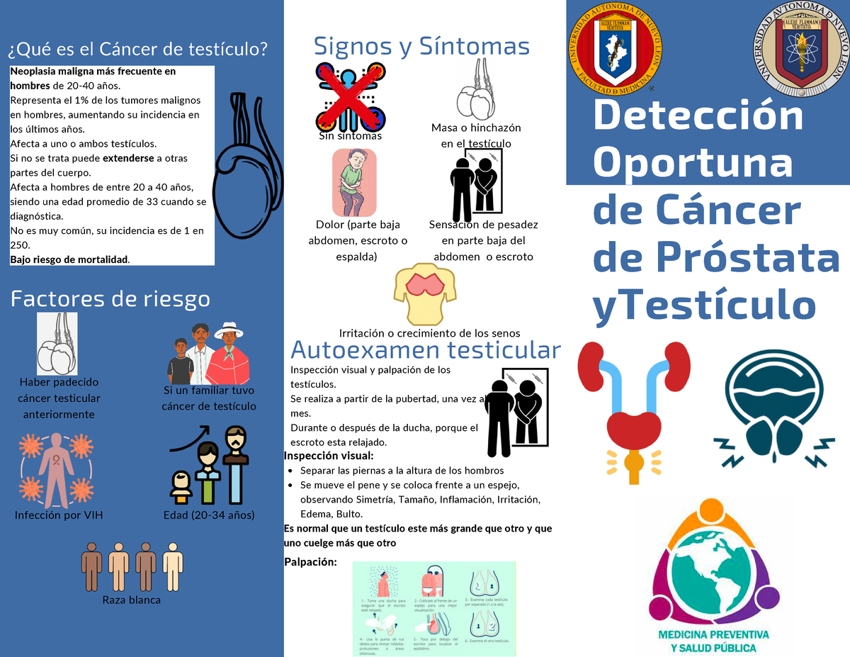 Detección Oportuna De Cáncer De Próstata Y Testículo - Signos Y ...