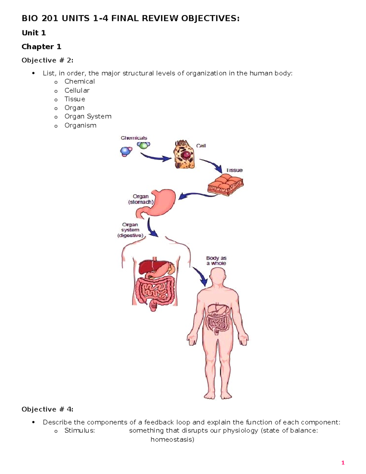 Final exam lecture review - BIO 201 UNITS 1-4 FINAL REVIEW OBJECTIVES ...