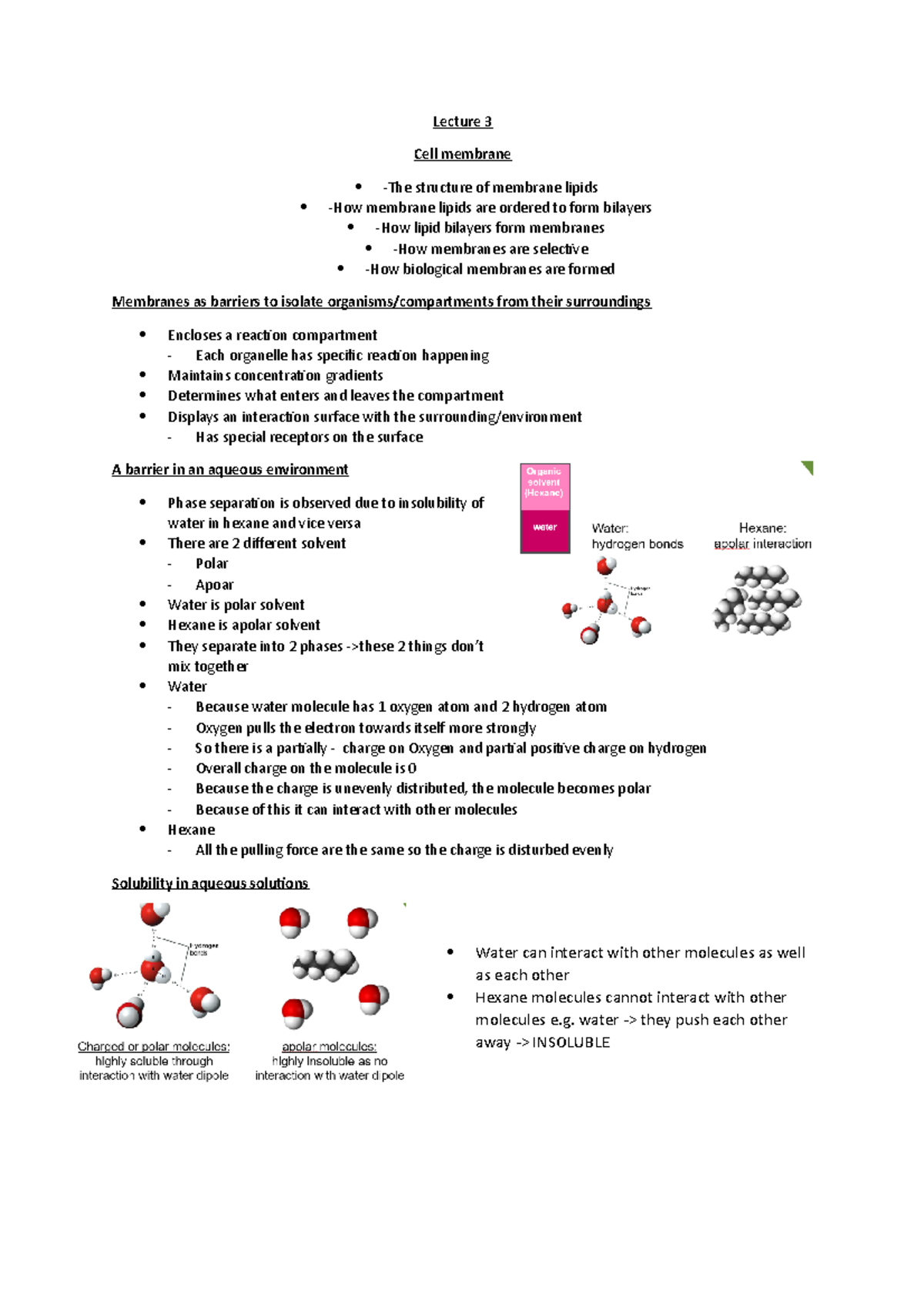 Lecture 3 Cell biology - Lecture 3 Cell membrane -The structure of ...