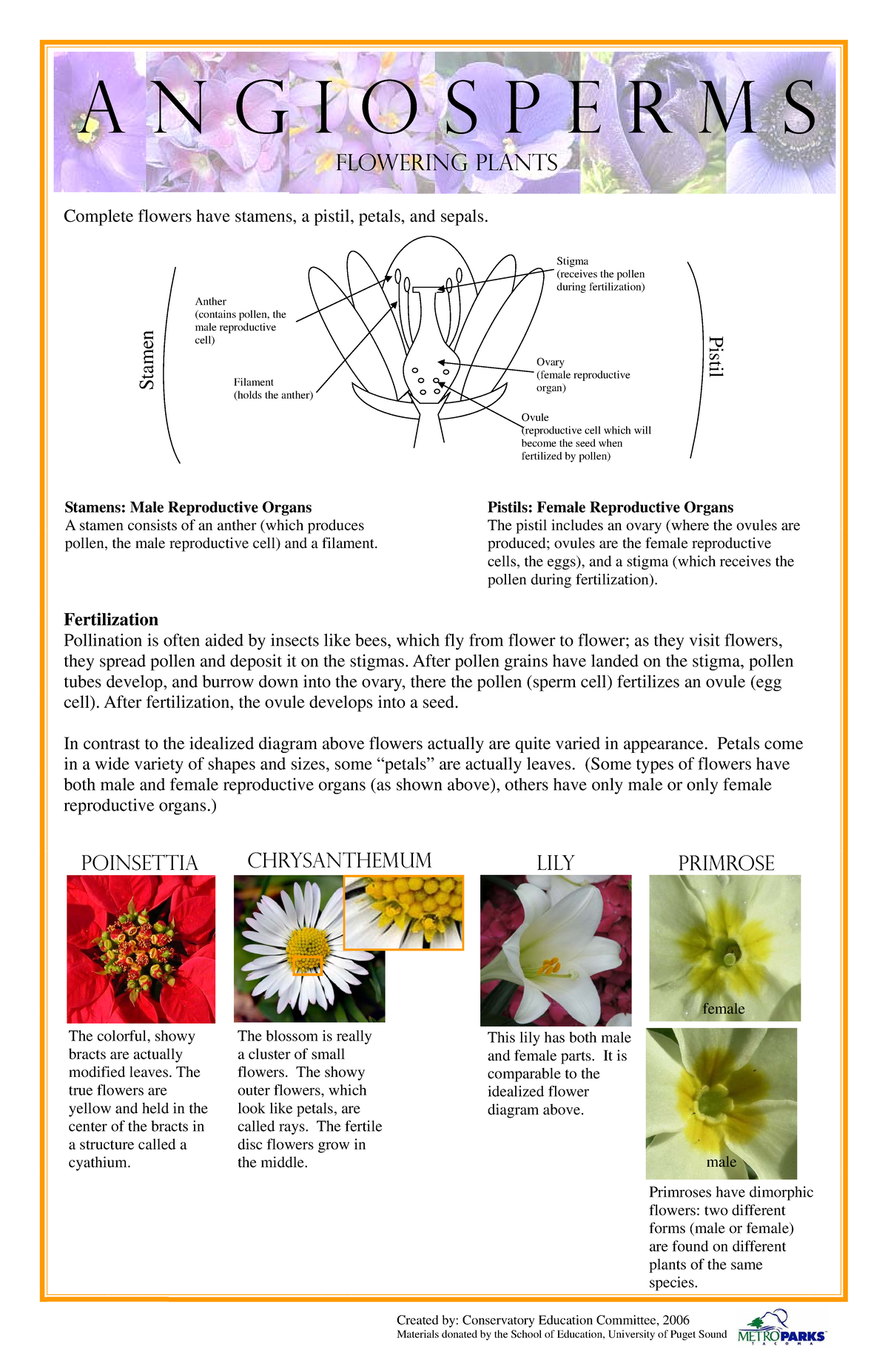 Angiosperms Poster Notes Fertilization Pollination Is Often Aided