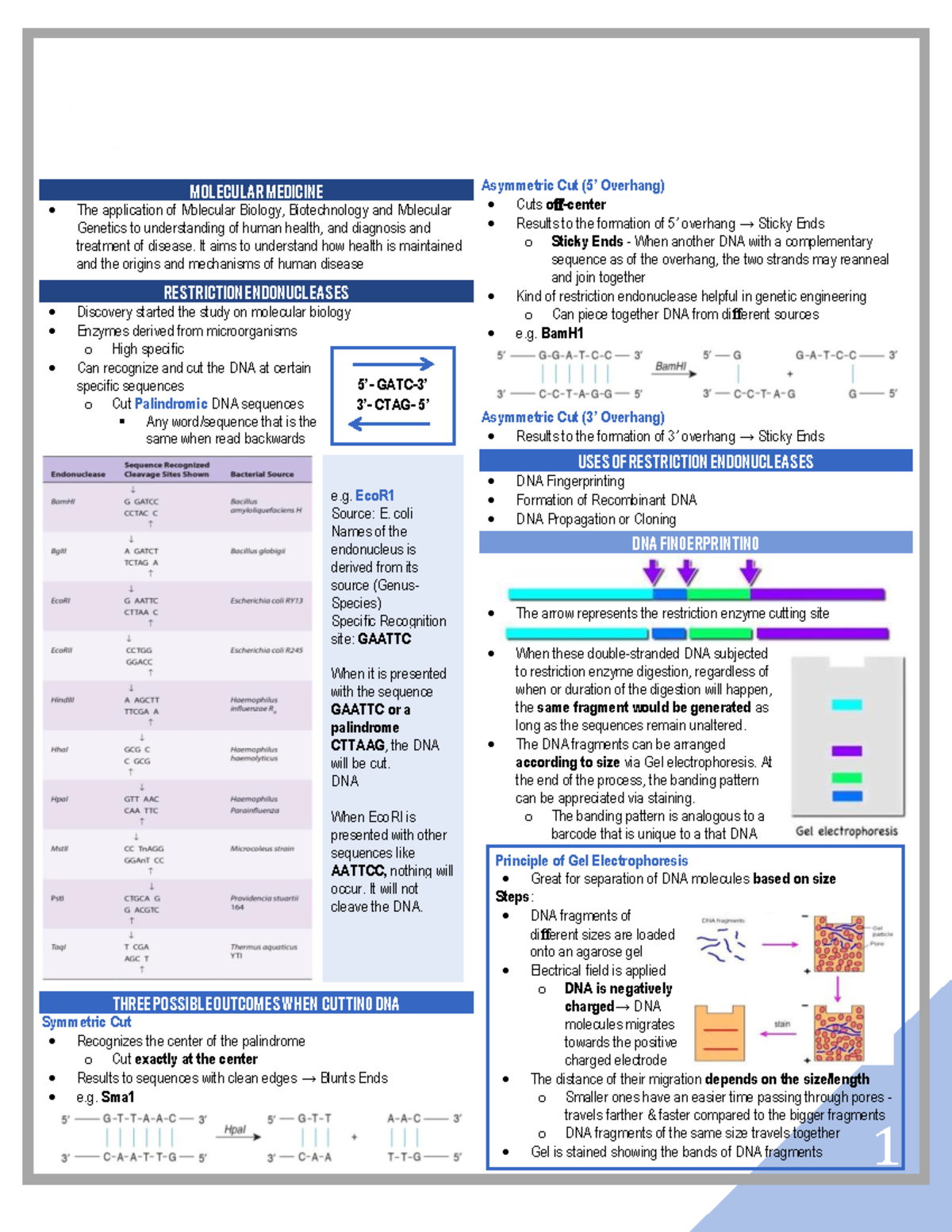 Molecular Medicine - BIOCHEMISTRY B INTRODUCTION TO MOLECULAR MEDICINE ...