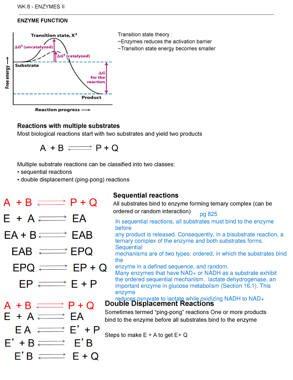 6 - Enzymes II Kinetics- Inhibitors And Lecture Notes - WK 6 - ENZYMES ...