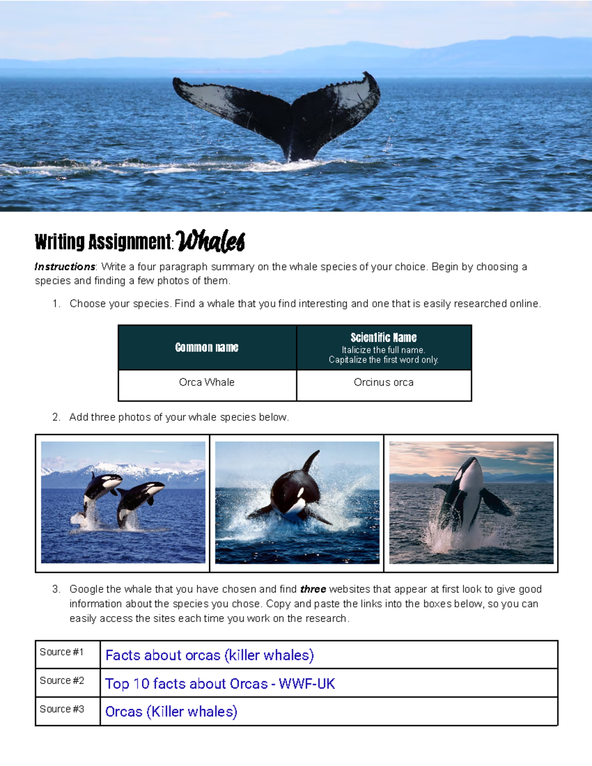 Copy of Whale research - 4 paragraph essay - Writing Assignment:Whales