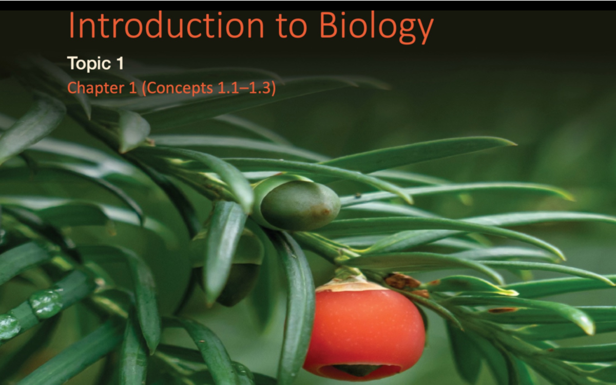 BIOL 1020 Topic 1 - Introduction To Biology - Biology IS Science ...