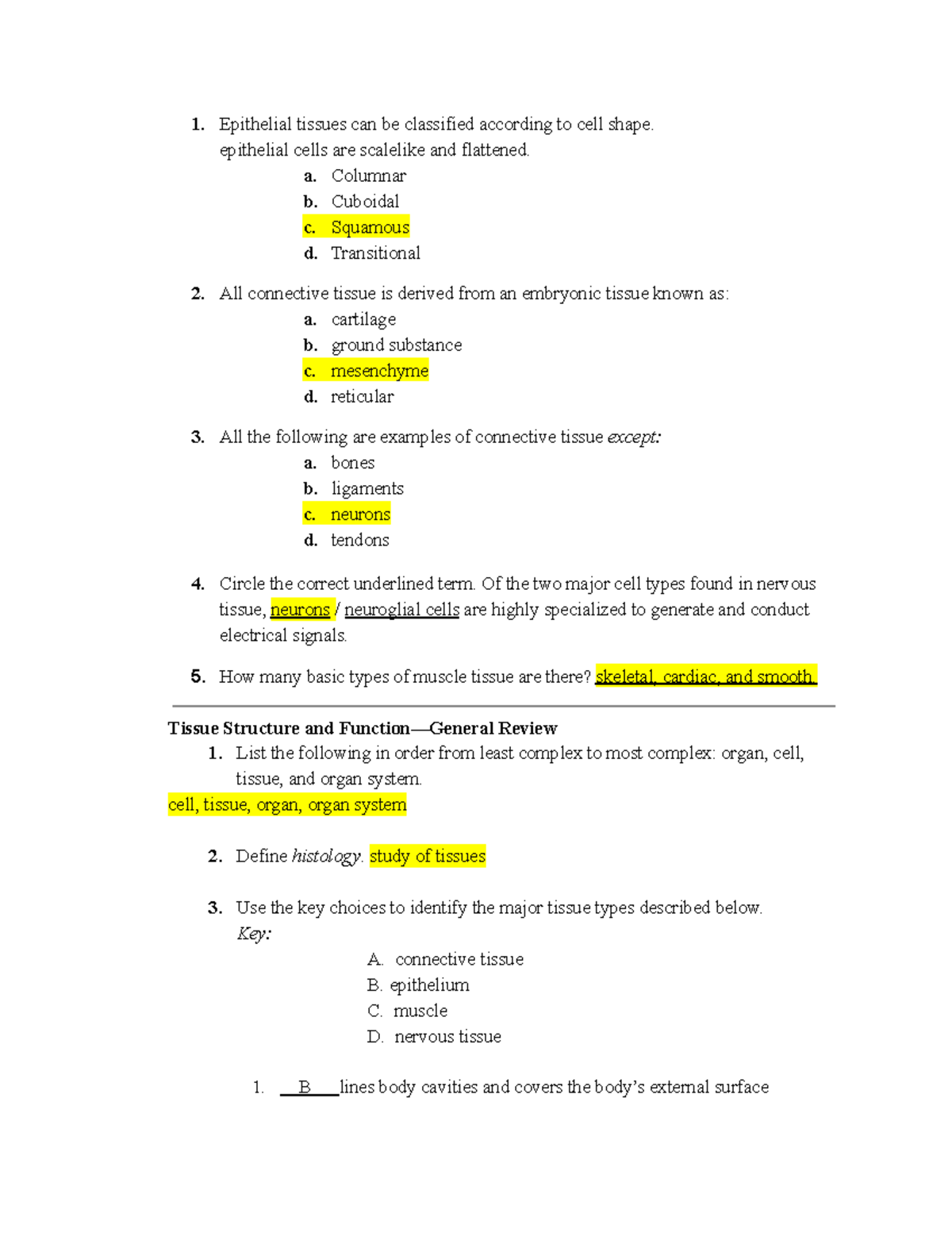 lab-classifying-the-tissues-answers-1-epithelial-tissues-can-be