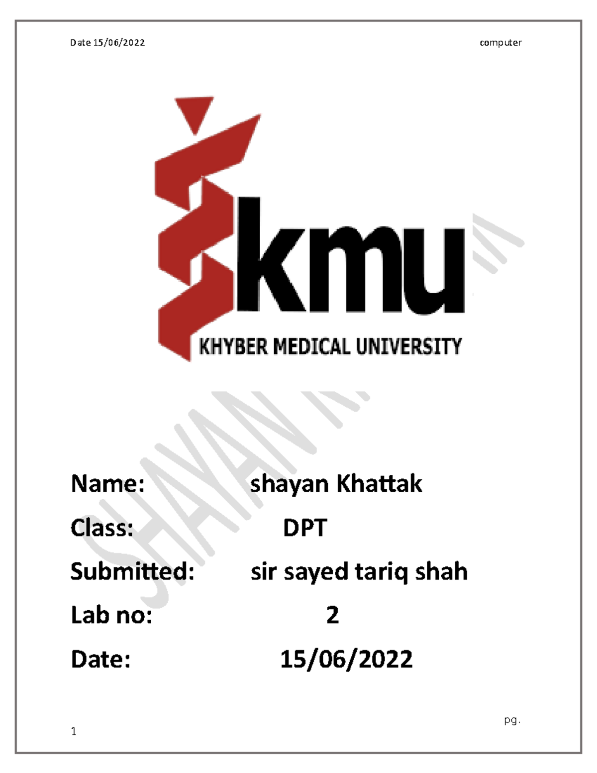 Name ms exsel lab no 2 name of ms excel lab manual Name shayan