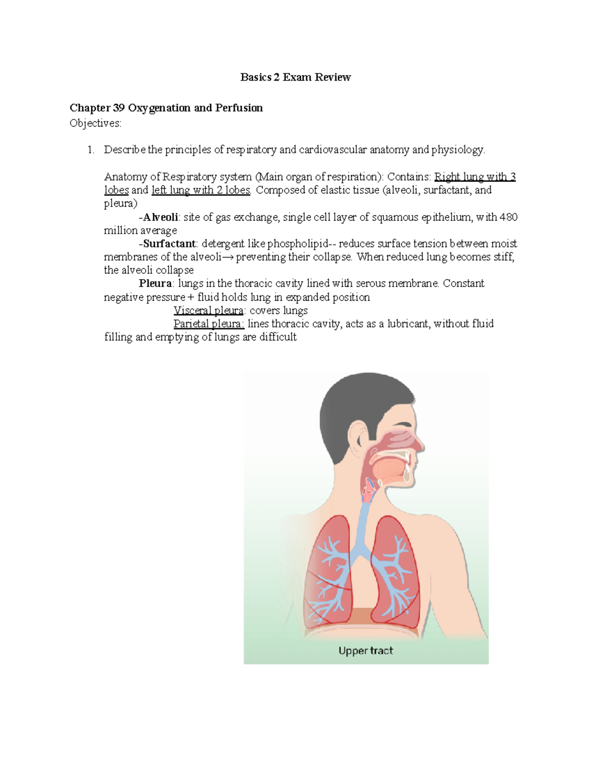 Basics 2 Exam Review - Basics 2 Exam Review Chapter 39 Oxygenation And ...