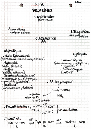 Molécules et méthodologies biologiques glucides - MMB GLUCİDES ...