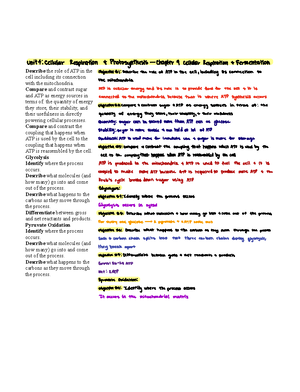 Unit 11 Chapter 43 Study Guide - Unit 11 chapter 43 The Immune System ...
