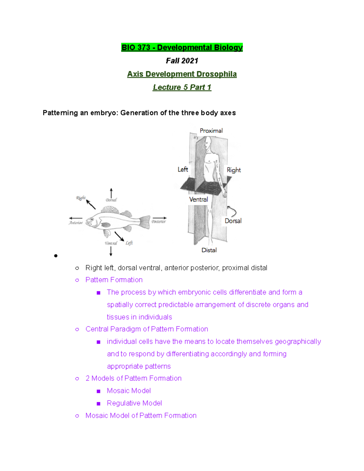 Bio 373 Lecture 6 Part 3 Fall 2021 Bio 373 Studocu