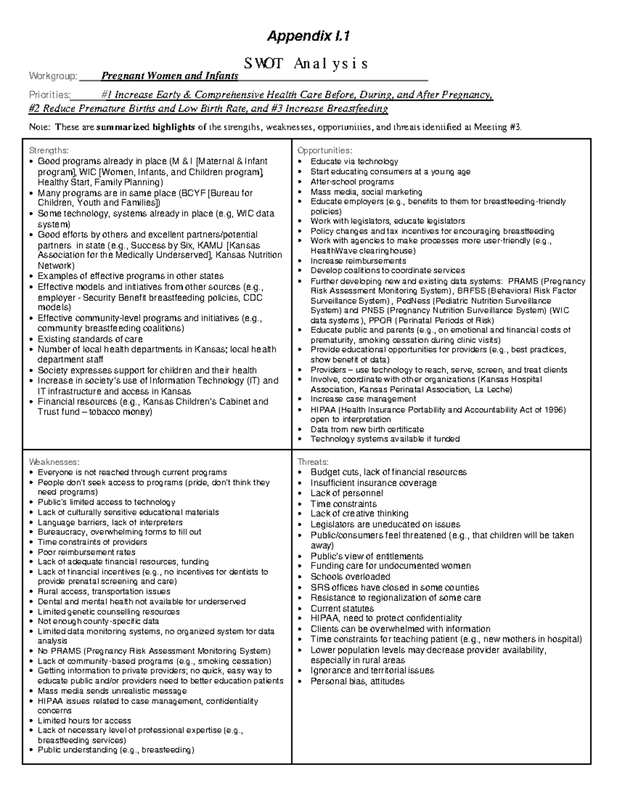 Healthcare For Pregnant Women And Infants SWOT Analysis Example