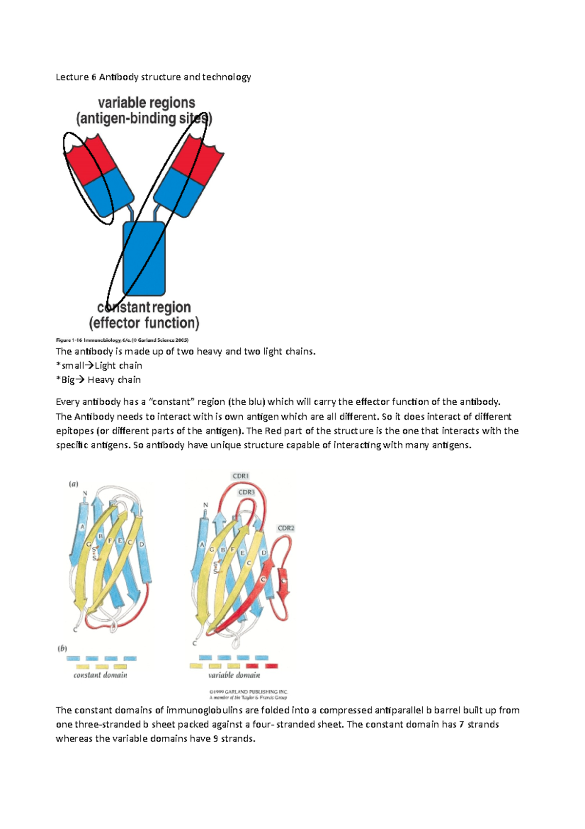 Lecture 67 antibodies Dr Pierotti Lecture 6 Antibody structure and