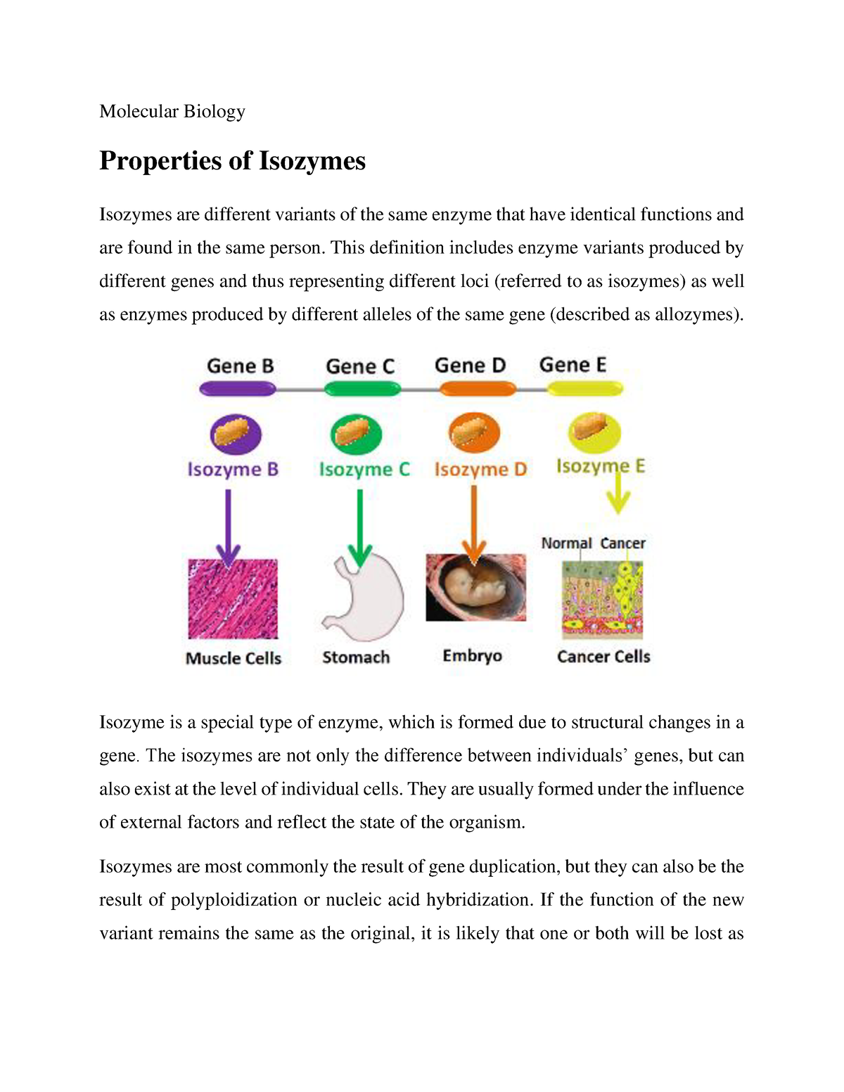 Properties Of Isozymes Molecular Biology Properties Of Isozymes 