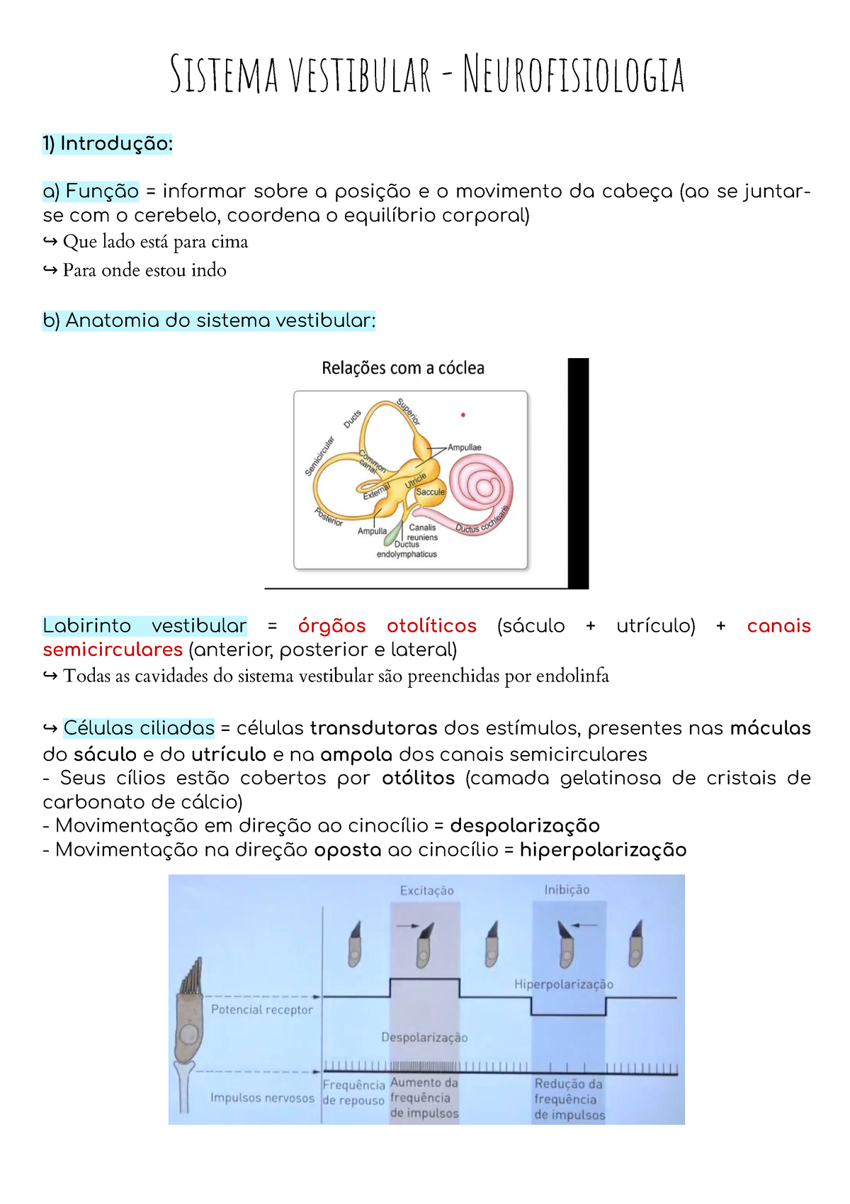 Sistema Vestibular - Neurofisiologia - Sistema Vestibular ...