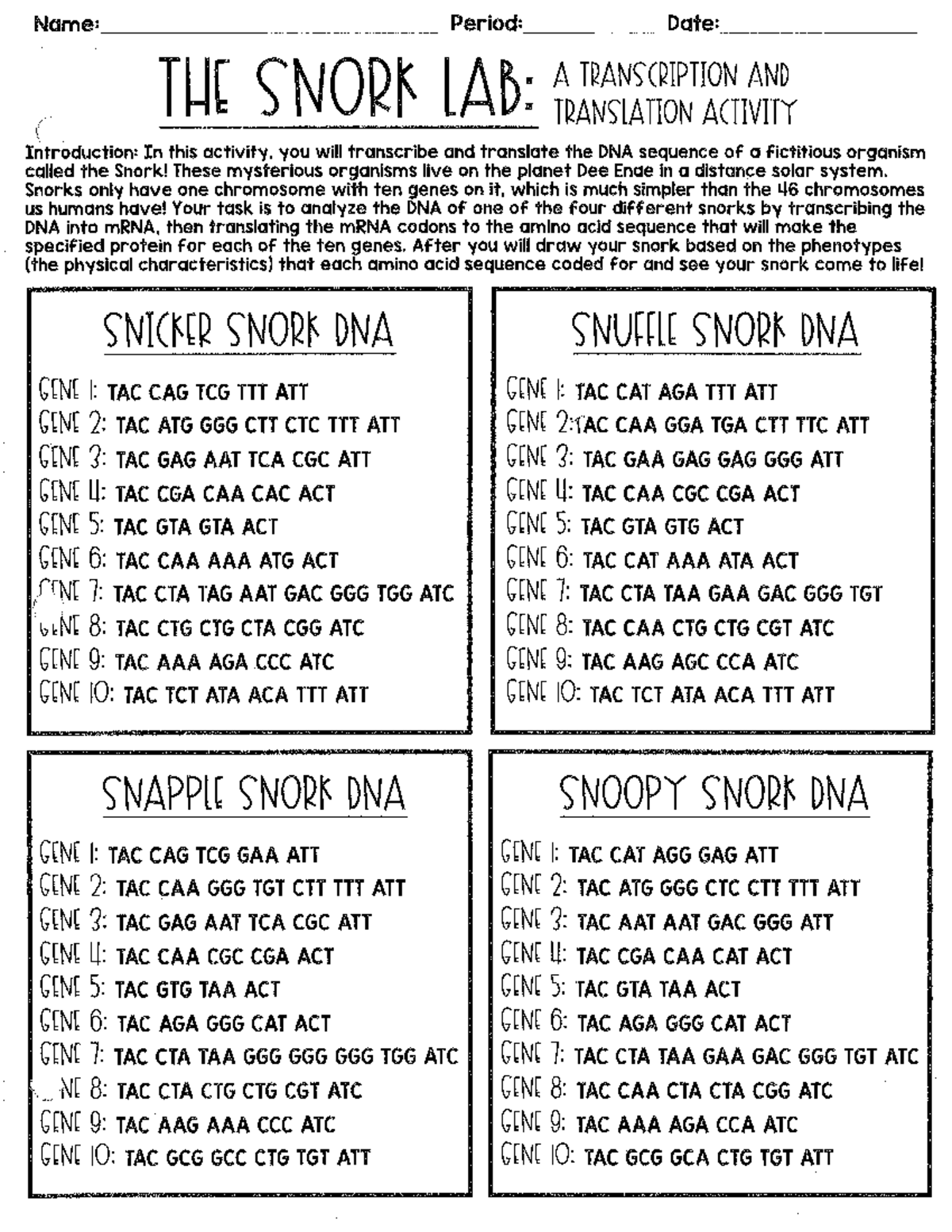 Snork Lab Protein Synthesis Practice Studocu