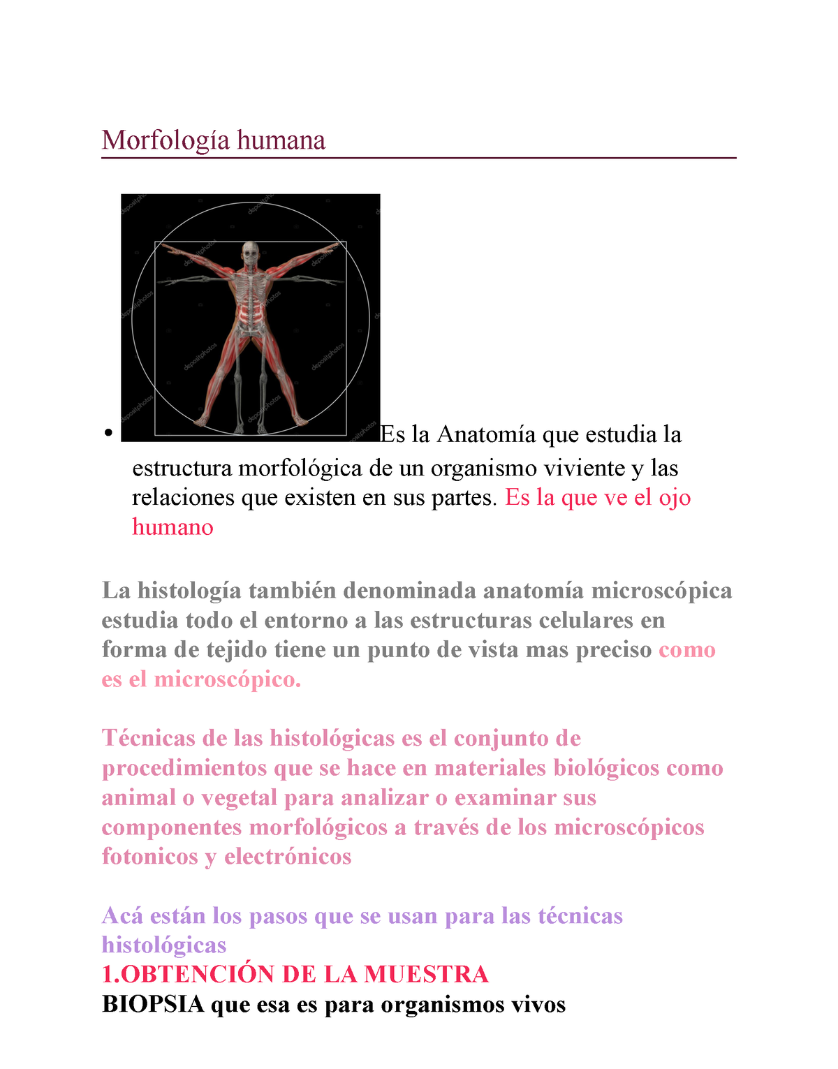 Resúmenes De Morfo - Morfología Humana Es La Anatomía Que Estudia La ...