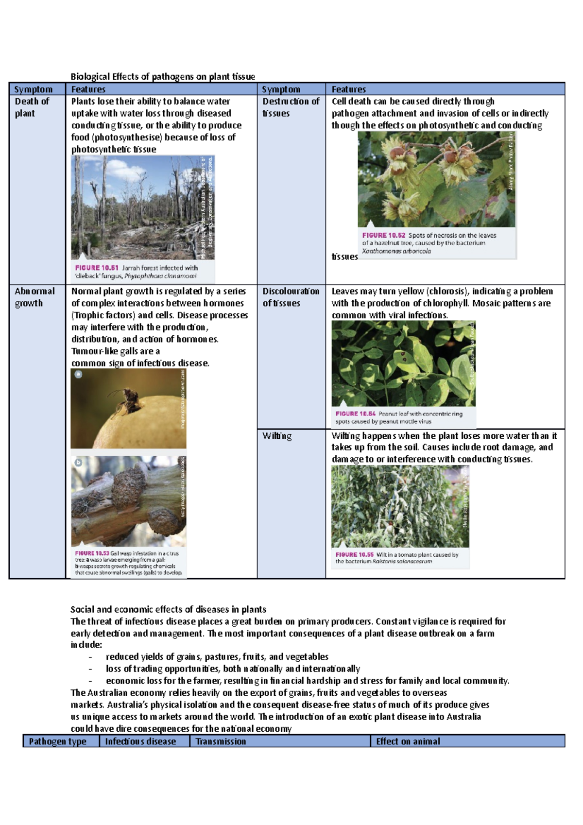 Effects of pathogens on plant tissue - Biological Effects of pathogens ...