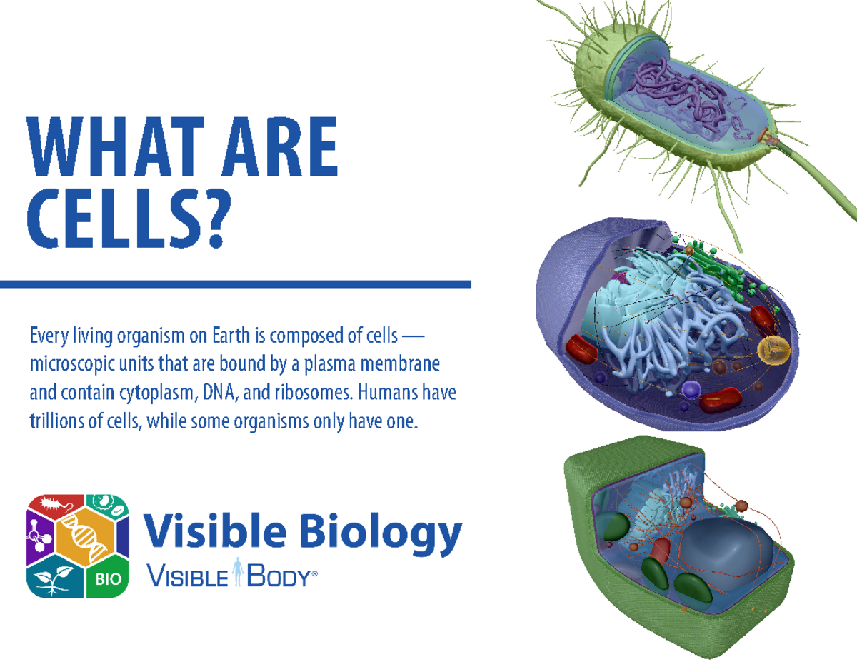Visible Body Cell Comparison - WHAT ARE CELLS? Every living organism on ...