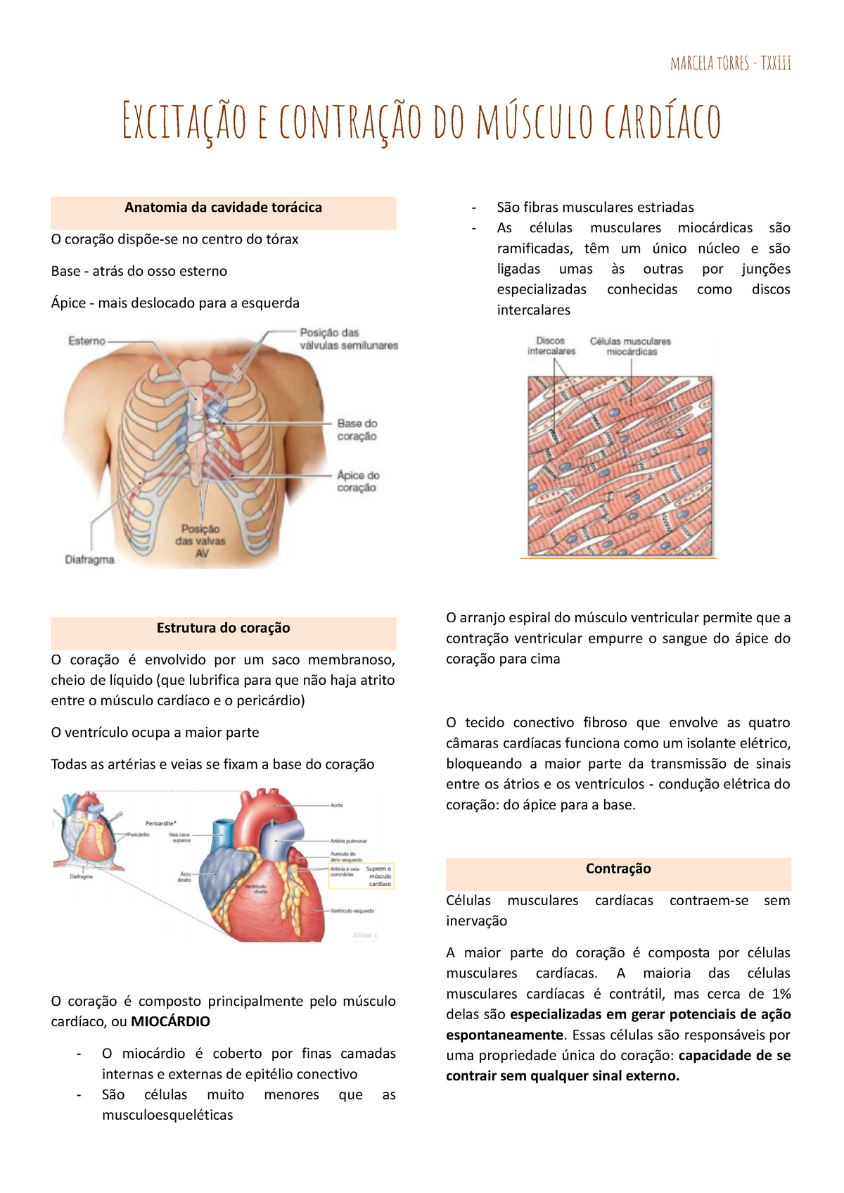 Excitação E Contração Do Musculo Cardíaco Marcela Torres Txxiii Excitação E Contração Do 2364