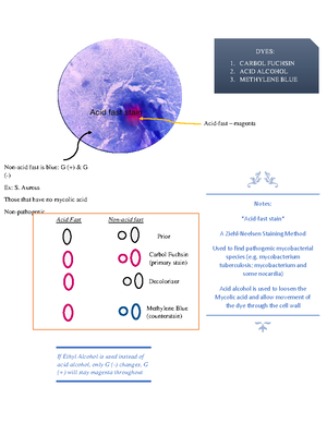 Micro Lab Final Notes - MCB2010L - Studocu