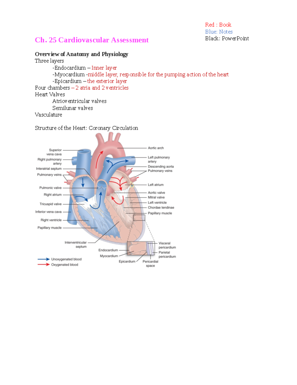 Exam 1 Notes - Exam 1 - Ch. 25 Cardiovascular Assessment Overview Of ...