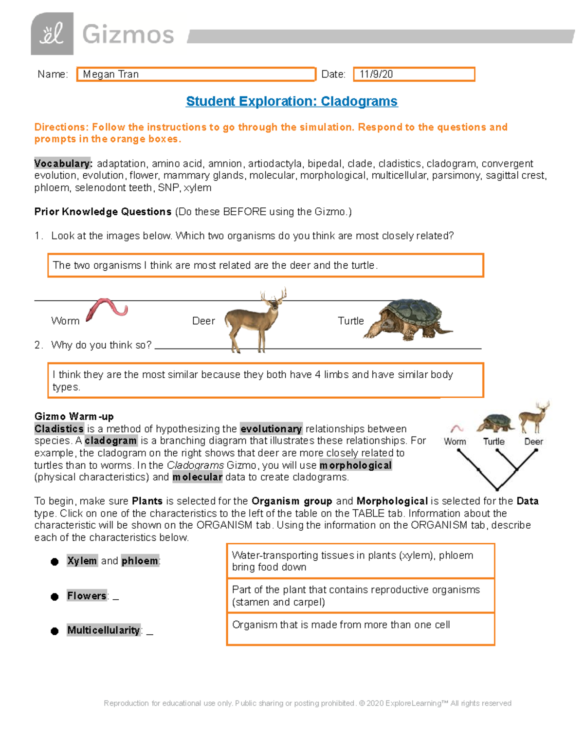 Cladograms Gizmo - Name: Megan Tran Date: 11/9/ Student Exploration ...