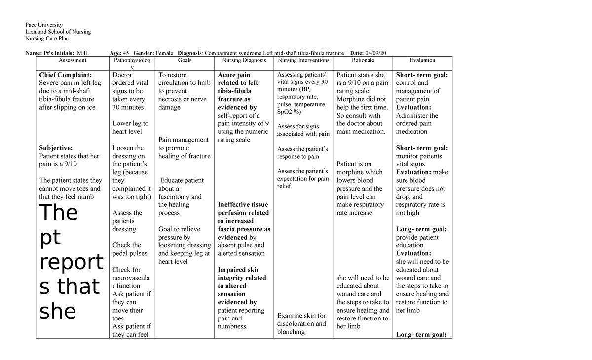 Marilyn Hughes Nursing Care Plan Pace University Lienhard School of