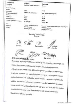 Practical micro - Applied Microbiology - Scanned by CamScanner Scanned ...