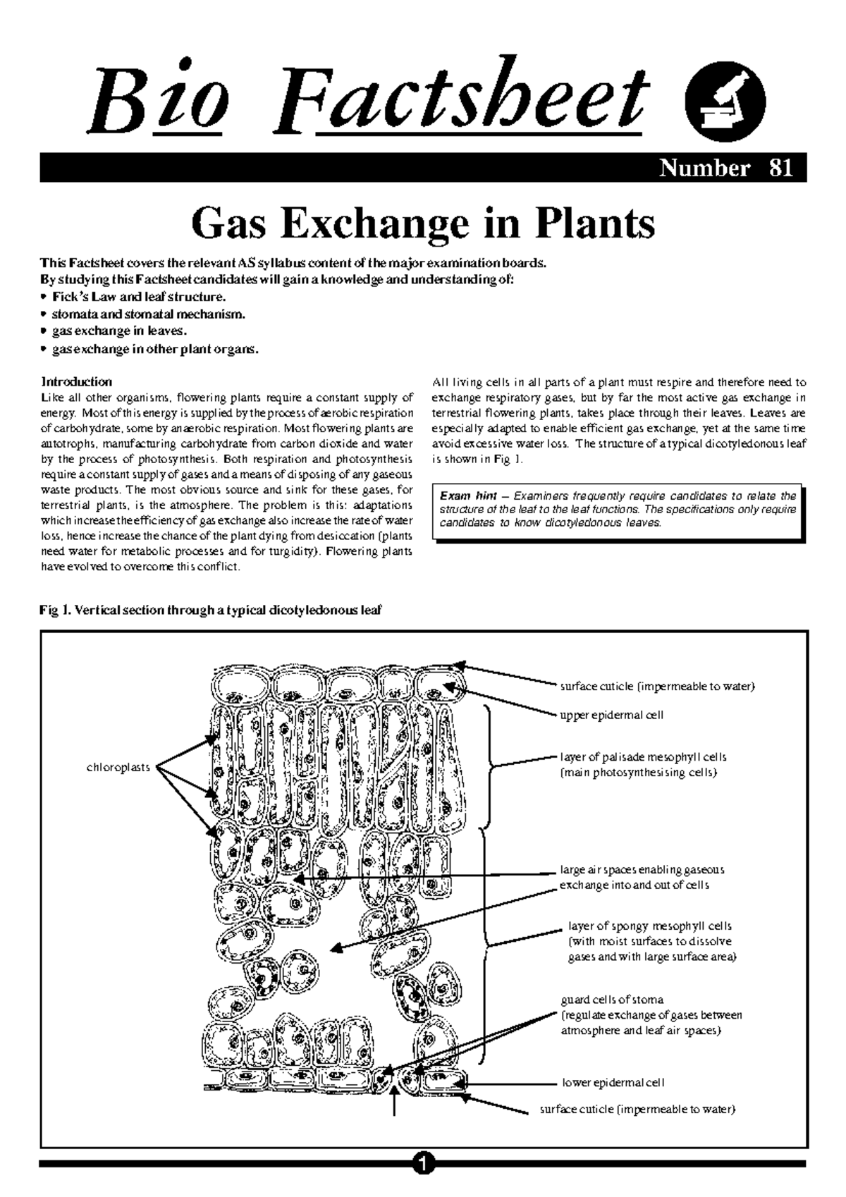 Factsheet Gas Exchange in Plants All living cells in all parts of a
