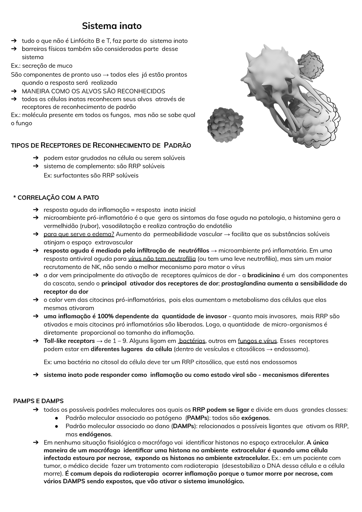 P2 Imunologia - Macrofagos, - Sistema Inato Tudo O Que Não é Linfócito ...